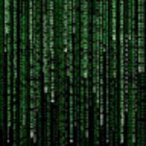 Meet your Posher, Adrian